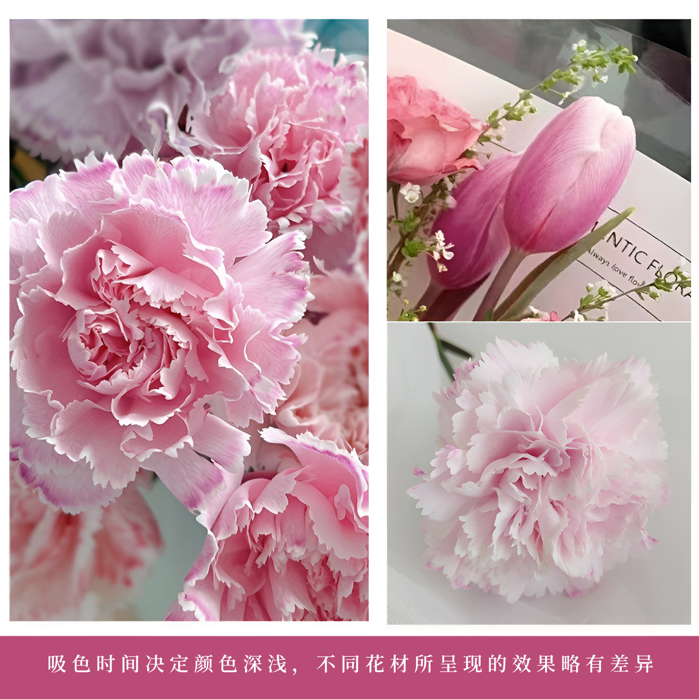 Pintura en Aerosol para Flores de 450 ml, Secado Rápido, Color Rosa, Tinte para Flores, Pintura en Aerosol Perlada para Manualidades Florales, Venta al Por Mayor