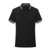 Polo, overall, T-shirt, 190 gram, with short sleeve, with embroidery