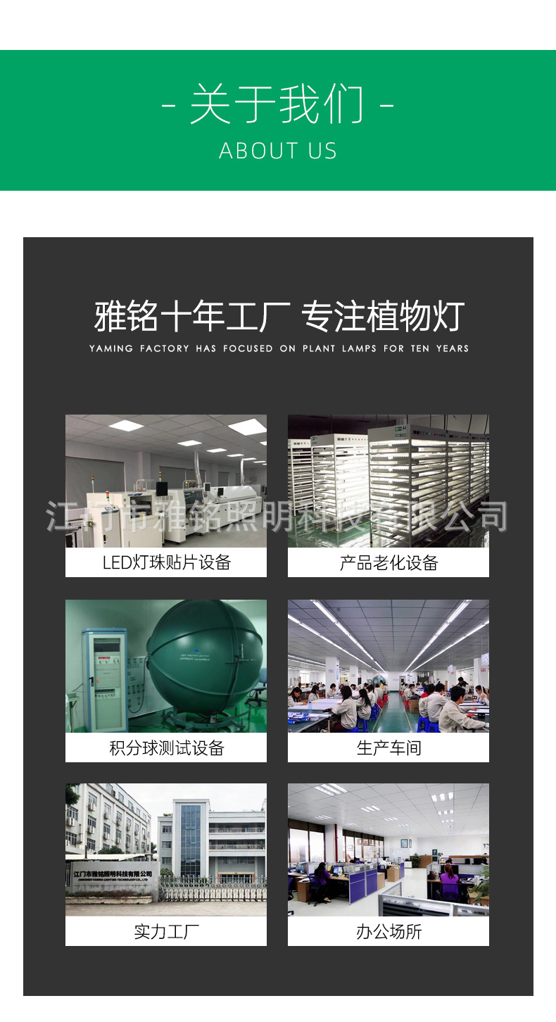 详情_20
