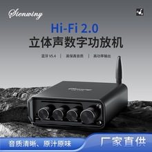 50W*2 Hi-Fi���������Ż�YS-LP3˫��������V5.4���ֹ��Ű�TPA3116