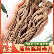������ص���500g�˲�Ұ������Ƭ����