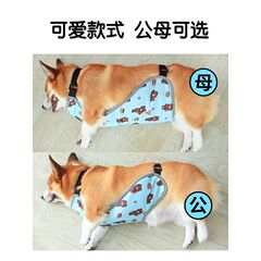 ペット犬用防水腹巻、お腹を守る、春秋の暖かいコーギー専用、夏のペット服、越境で人気商品