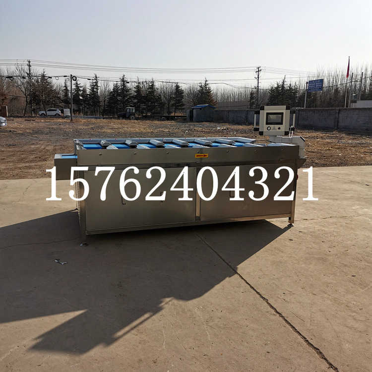 直供多工位组合秤 台式目标定量配重机 海鲜称重分选机 卓壹厂家A