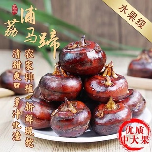 �V���������r�R��ݩ�jˮ���߲��r���֭�r�ҬF��һ�����l�a��ֱ�l