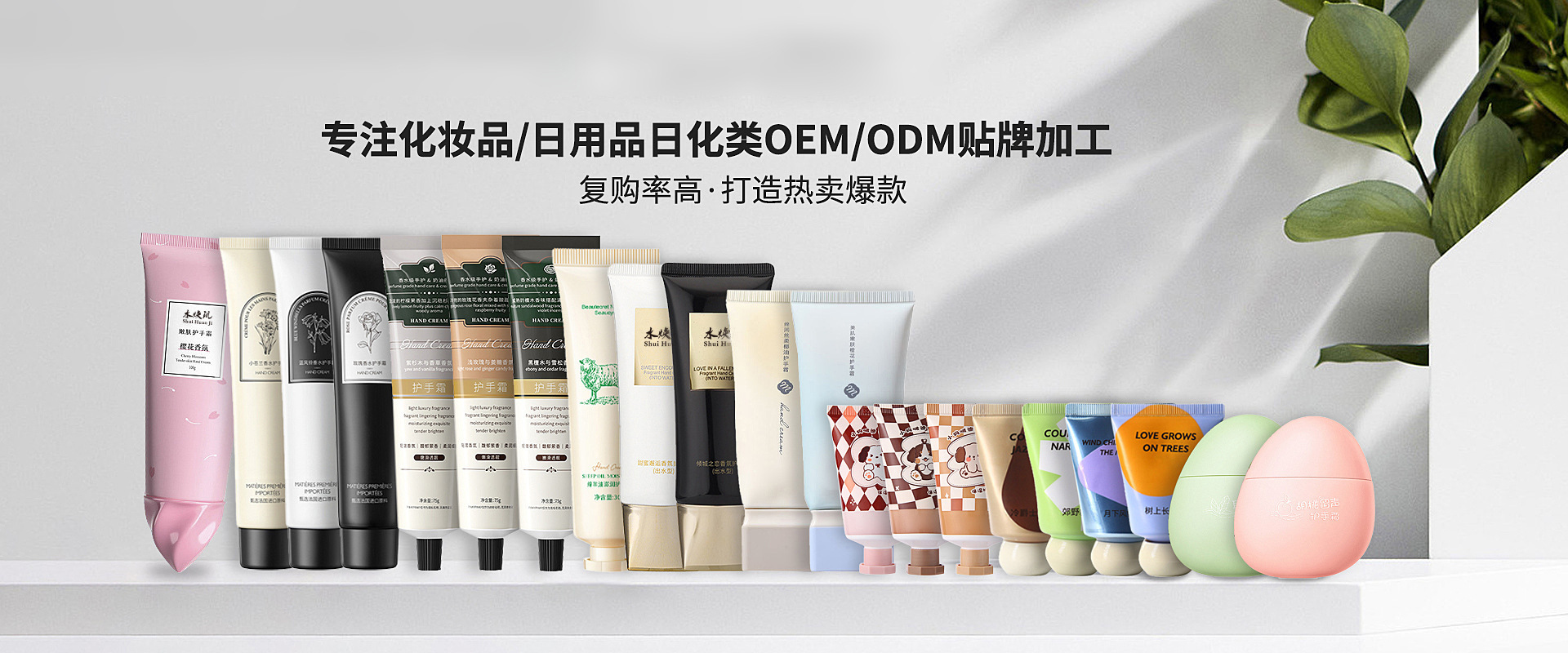 微信图片_20240226142015