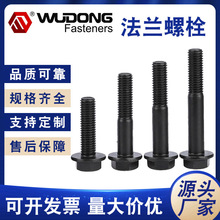 �ߏ��ȷ��m��˨ ֹ�����Ƿ��m��� 8.8�����������Ƿ��m���|��˨