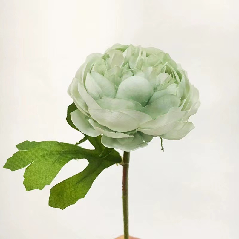 녹색