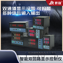 双回路显示控制仪表可调温控器变送表温度报警2通道测控仪