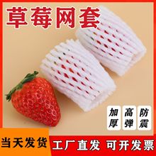 ��ݮ������ĭ�W�׼Ӻ��o��ˮ����ĭ��͸��J���Ұl�ݾW���׹��S