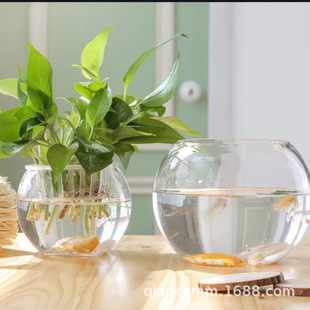 ΢���^ˮ��ֲ��͸������ƿ�G�}��ƿ����͸���A���~�׿͏d���愓��