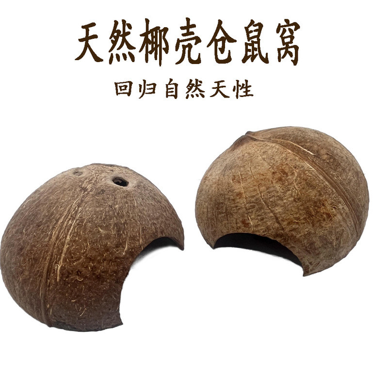 Coconut Shell Parrot Pet Hideout for Hamsters and Reptiles, Exotic Pet Turtle and Lizard Toy House, Hamster Toy Coconut Shell Coconut Shell Parrot Pet Hideout for Hamsters and Reptiles, Exotic Pet Turtle and Lizard Toy House, Hamster Toy Coconut Shell