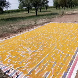 蜂蜜;蜂花粉;其他蜂产品