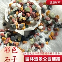 �S�����l��ɫˮϴʯ���·䁵�ϴ��ʯ�b�С��ʯ�^ˮ���~���쾰ʯ