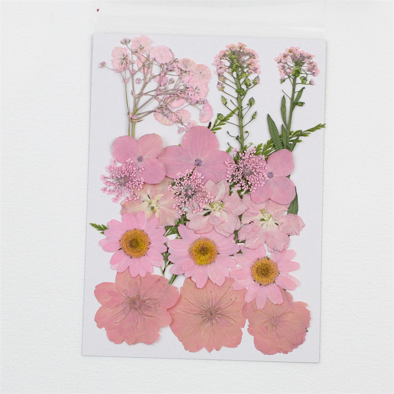 핑크다이 (21송이)