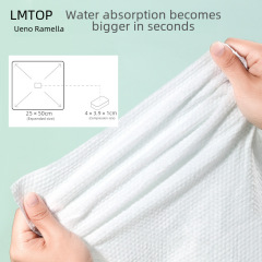 LMLTOP 10粒裝壓縮潔面巾 旅行便攜一次性洗臉巾毛巾棉柔巾 SY423
