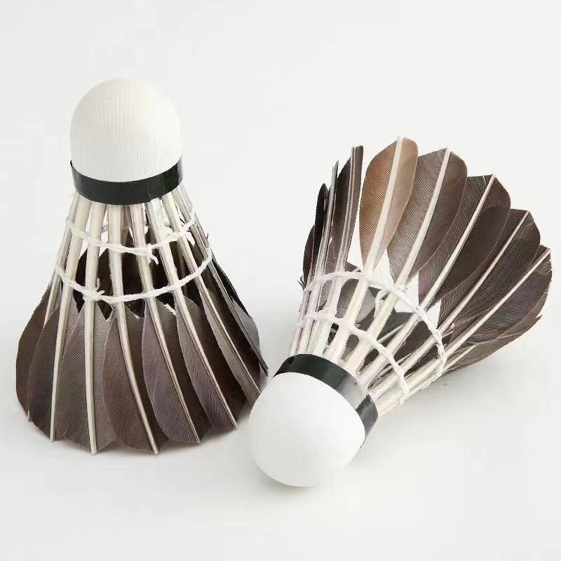 블랙페더 [내구성과 안정성의 왕] 6팩