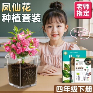 �P�ɻ��Nֲ���b��ͯС�������꼉��С�W���ƌW����ֹ���������