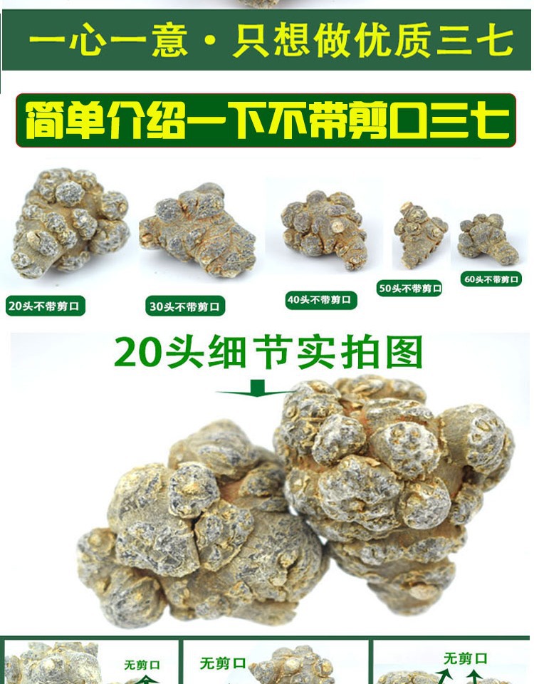 San Qi Notoginseng Root Tian Qi Dried Whole Roots Wenshan Panax notoginseng for Decoction and Powder key features