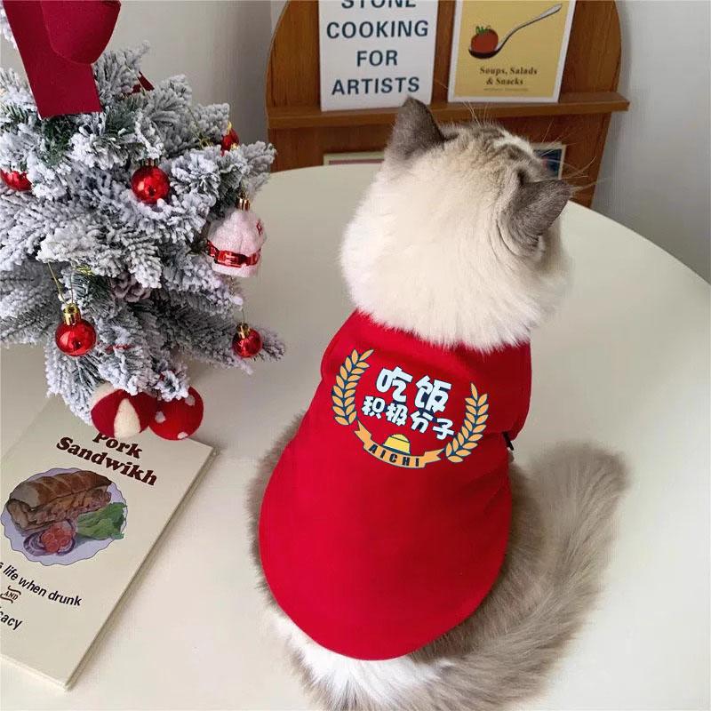 Ropa de felino de peluche otoño y invierno mascotas de Navidad de dos patas suéter gato azul gato muñecas de tela corta gato anti-pillo gatito gatito