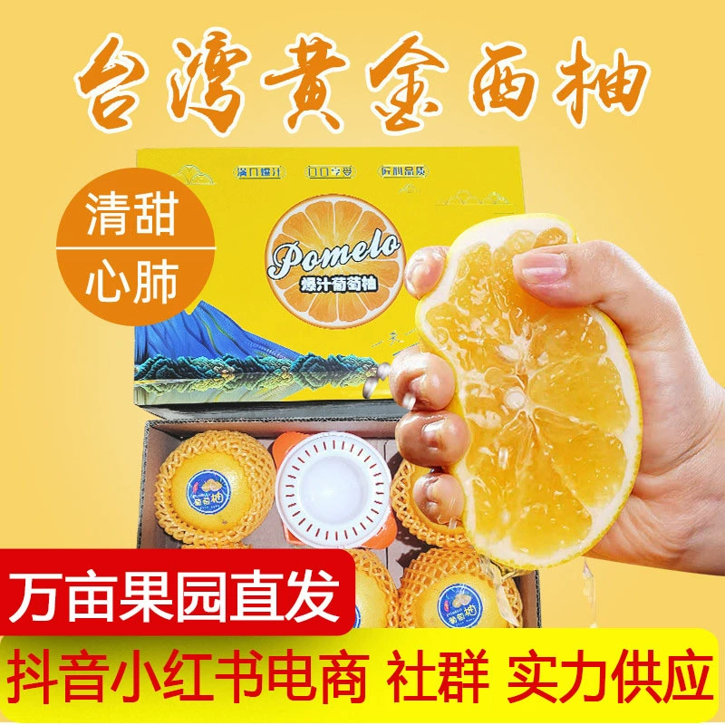 台湾黄金葡萄柚 新鲜当季葡萄柚子送礼礼品礼盒 黄心西柚一件代发