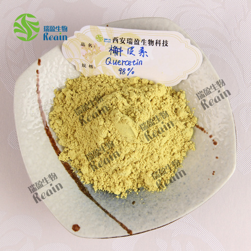 100g small package 98% Quercetin Oak Gall Extract, Bulk discount