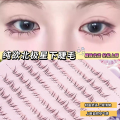 ポラリス 下まつげ 透明ステム 大容量 カール 軽量 透明 セクション分け 自然なママ風感