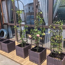 �̨�N������플��������Nޱ�¼����仨�۴�̖������50�Nֲ��