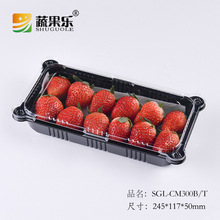 �߹���CM300һ����pet���ܲ�ݮ�Ў��w�ڵ׼Ӻ����ϺЏS��ֱ�N