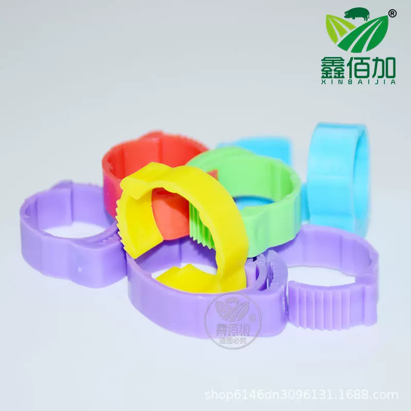 工厂定制鸡脚环可调节鸡鸭鹅用卡扣式脚环禽类脚圈鸡用标记环扣