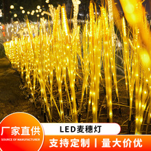 LED�������@��؟��������ͥԺ�b��^�l���JȔ���ز��ƺ��