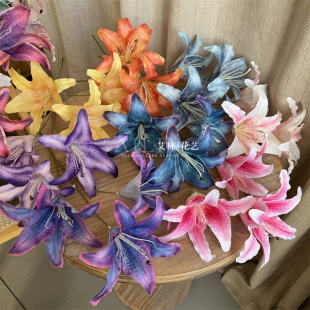 ����3�^�ٺ� ��֦�`�Ӱٺϼٻ���Y���bҾ�ܛ�b�����廨���l