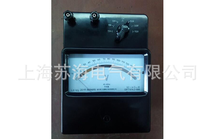 L2-V型平均值电压表0.5级标准表500V/600V/750V L2-V/1/2