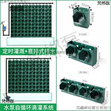 ֲ��Nֲ���{��@���̨��ֱ�G������ֲ��Ǡ��ڻ�����䳲����