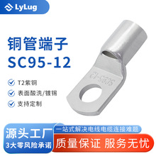 sc95-10�������~��a�Q������Դ�䉺�~�ܶ�����|�~����������