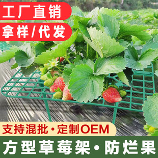 Square Strawberry tray rack gardening stand anti-lodging fruit support gardening supplies strawberry planting support rack