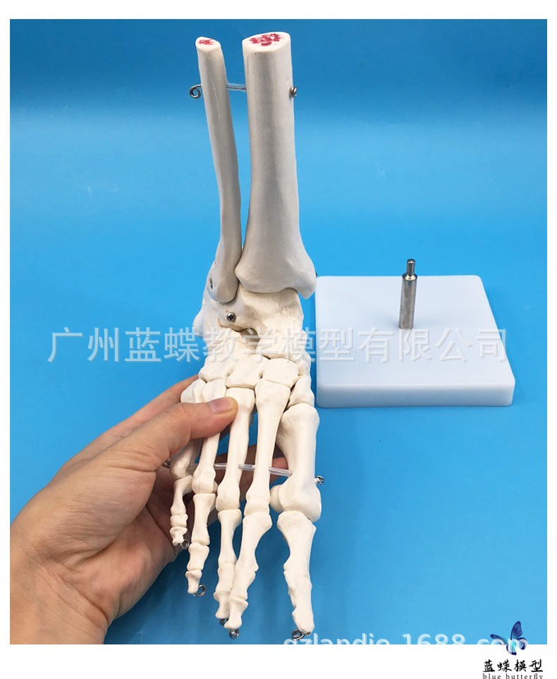 详情_09