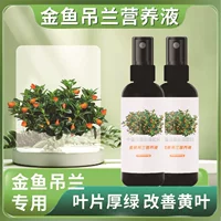 Питательный раствор для золотой рыбки Popula Popula Popula Popula Popula Popula Potula Potula Plant для выращивания цветов