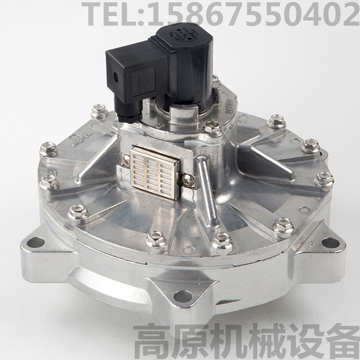 25寸8296800817100000 G353053 83929008171淹没式脉冲阀