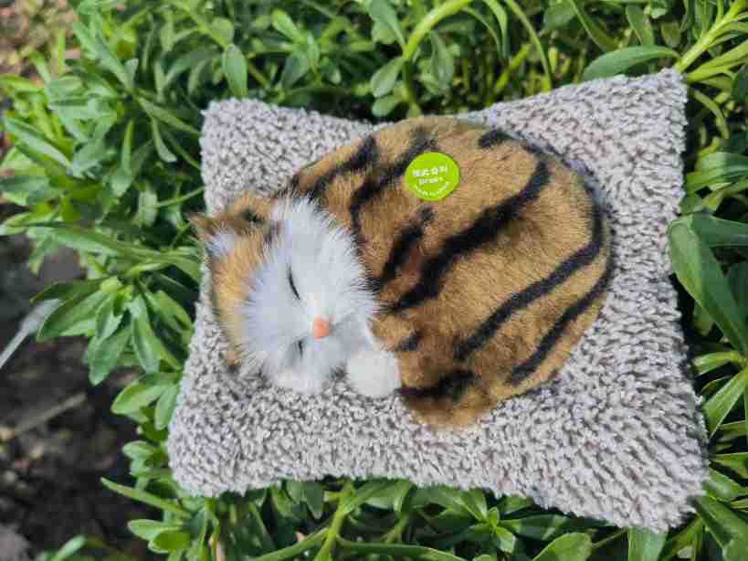 Decoración interior del automóvil adornos de automóviles carbón activado para dormir gato muñeca bolsa de carbón de bambú para gatos para eliminar formaldehído para eliminar el olor de carbón de bambú gato image 9