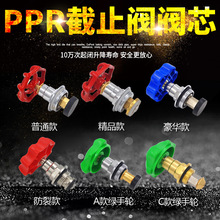 PPR PE截止阀阀芯PPR PE截止阀闸阀国标精品PPR PE水管管件配件