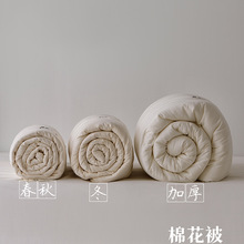 2025�¿�A�ȫ���A�����ȫ�޻���䱻�ӱ�о���޻�