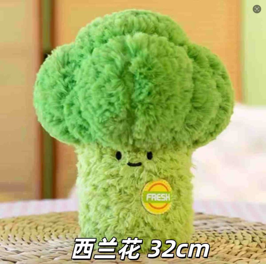 브로콜리【32cm】 / 12inch