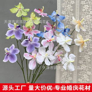 ���滨3�^�f���m�����m ��c��Y�û����b��ÔzӰ���ߙ����쾰