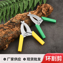 �S�ҬF؛�h��������h�����ľ���ѭh����Ƥ���@�ֹ��@�h����