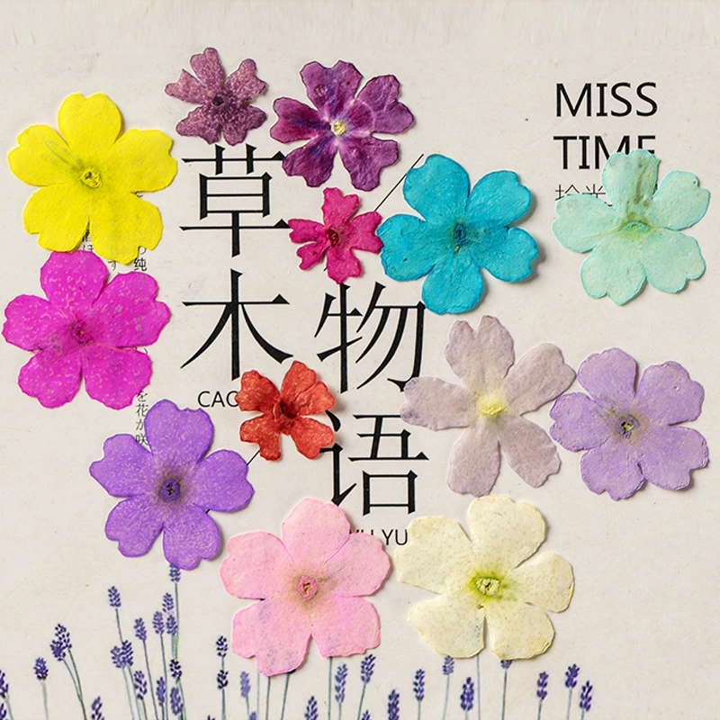 Красивая вишня с тиснением цветок сушеный цветок растение образец Дерево лист ручной работы наклейка капля Клей DIY Материал закладки