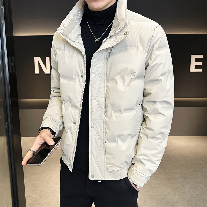 Men's Clothing Short lightweight Silk cotton jacket for men 2024 new style stand up collar handsome fashion warm winter men's jacket_voghion.com