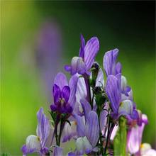 羳؛ɢb~N ~ݻɫ ͺͥԺ