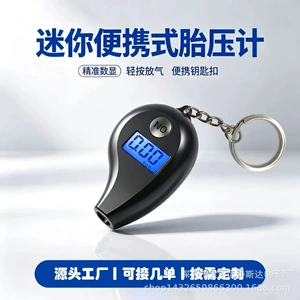 Tire pressure gauge car tire keychain digital display mini high-precision tire pressure gauge cross-border source factory in-stock wholesale
