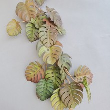 ����ܛ�zֲ�������~�� �������l ���W�ҾӘӰ��g�Ƶ�͏d�bڒ�