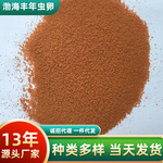 丰年虫卵 10KG供应脱壳卵微粒饵料丰年虫卵丰年虫可孵化鱼饲料